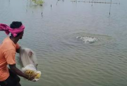 钓鱼的视频,跟随镜头探寻钓鱼的乐趣与技巧