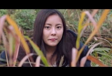 伦理片免费视频,免费伦理片视频背后的故事